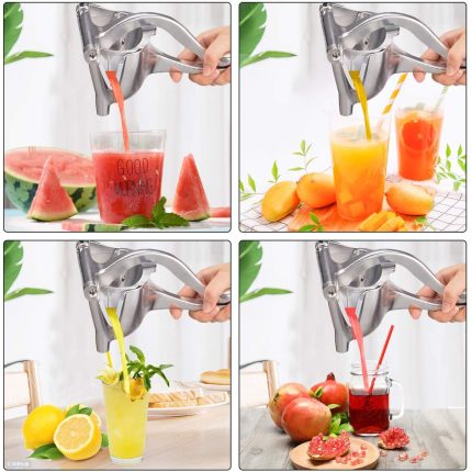 Fruit Press Handy Juicer Price in Pakistan