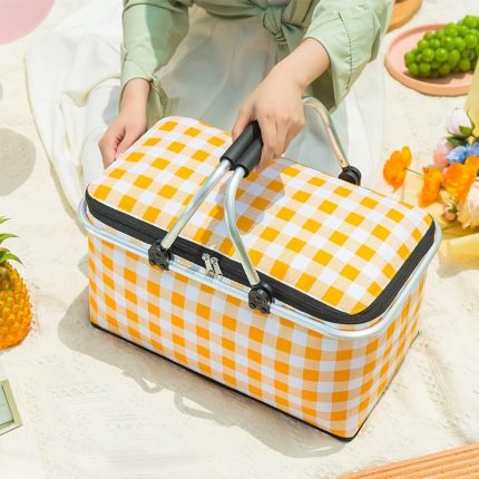 Foldable Insulated Picnic Bag Price in Pakistan